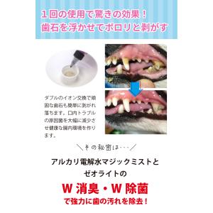 犬 歯磨き 犬歯ブラシ 犬 歯石取り マジック...の詳細画像5
