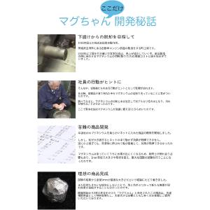 洗濯マグちゃん マグネシウム ベビーマグちゃん...の詳細画像5