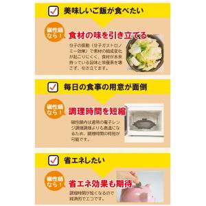 磁性鍋 鍋 電子レンジ 電子レンジ専用調理器 ...の詳細画像4