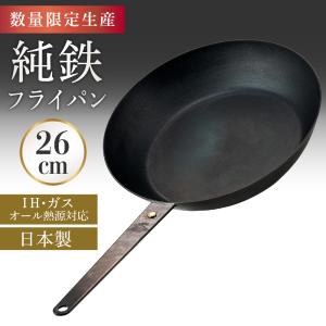 FUJITA KINZOKU 鉄フライパン 軽量 浅型 26cm 日本製 シーズニング不要