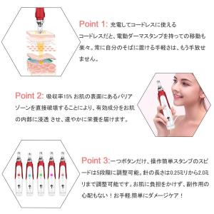 【正規品】2024新品 美顔器 ダーマペン 電...の詳細画像1