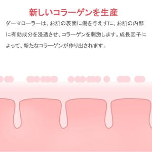 【正規品】2024新品 美顔器 ダーマペン 電...の詳細画像2