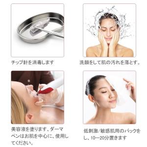 【正規品】2024新品 美顔器 ダーマペン 電...の詳細画像4