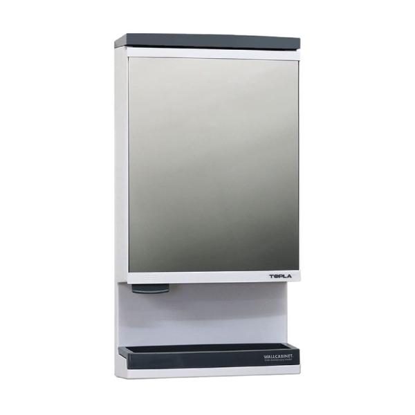 壁掛け鏡 TW-T55T 洗面化粧台 RP東プラ ミラーキャビネット 32.2×61.8cm
