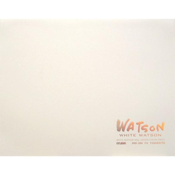 水彩紙 ホワイトミューズホワイトワトソンブロックF10 300ｇ15枚入りHW-310 F10