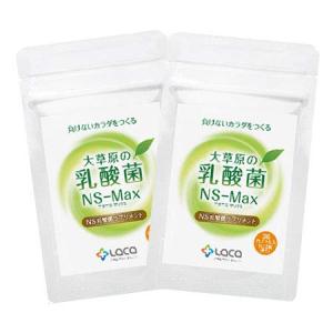 健康食品 ラクア 大草原の乳酸菌 NS-Max 36カプセル 2袋セット(ネコポス発送)｜shop-kt-three