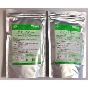 健康食品 お得な２袋セット 新型乳酸菌EF-621K菌 EF-5K 細粒 30包×2袋｜shop-kt-three