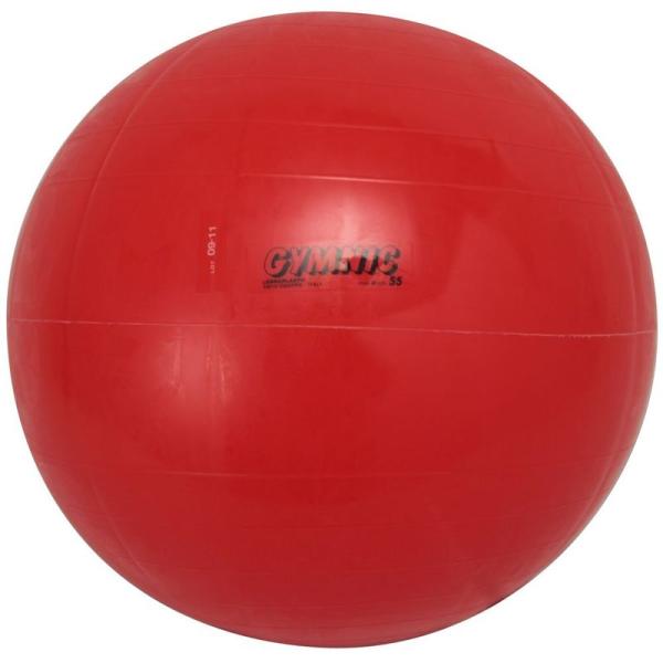 ダンノ(DANNO) ギムニクカラーボール 55cm D5431
