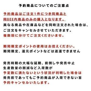 HUNTER×HUNTER 小型の再現模型 [...の詳細画像1