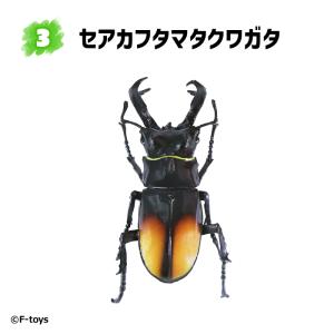 タランドゥスツヤクワガタ】 甲虫王者ムシキング ANNIVERSARY 20th