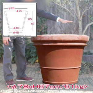 植木鉢 大型 おしゃれ テラコッタ鉢 47cm リムポット イタリア製