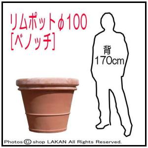 リムポット φ100cm 高級 テラコッタ製 ...の詳細画像4