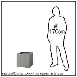 ・ モードライト キューブW35cm グラスフ...の詳細画像2