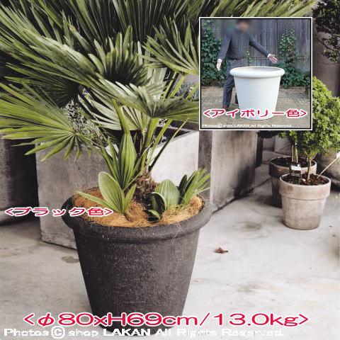 ビアス リムスφ80cm ポリストーン樹脂製 大型植木鉢 / エッシュバッハ社 EB-PL24108...