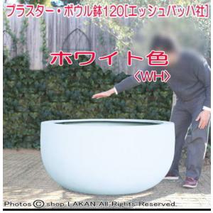・ プラスター ボウル φ120cm FRP ...の詳細画像3