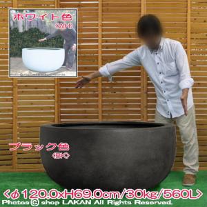 ・ プラスター ボウル φ120cm FRP ...の詳細画像5