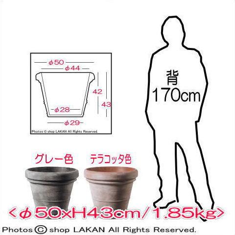 ボルドー φ50cm 大型 ポリエチレン 樹脂製 人気 植木鉢 / TP-TM社 TP-TM50