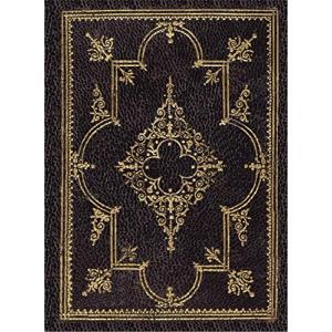 Obsidian Journal 並行輸入