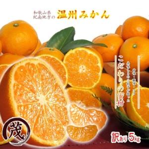みかん 訳あり 本場和歌山県の 温州みかん 5kg 訳あり 送料無料 早生 温州 濃厚 甘い 糖度 ジューシー