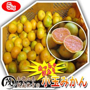 《めっちゃ訳あり》 極早生小玉みかん 5kg【60個〜90個前後入り】送料無料 果物 和歌山 果物 ノーワックス 温州 ミカン 蜜柑