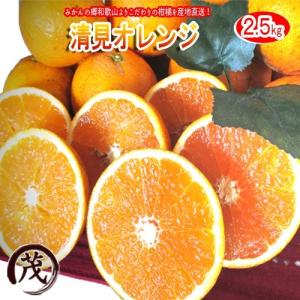 みかん 訳あり 清見オレンジ 2.5kg 送料無料 和歌山産 柑橘 果物 フルーツ きよみ タンゴール 訳あり ※サイズ混合です(約8玉〜16玉)