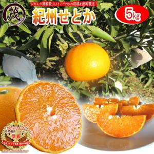 《訳あり》紀州産 せとか 5kg 【 送料無料 】※北海道・沖縄除く 濃厚 高糖度 ジューシー みかん 柑橘 フルーツ