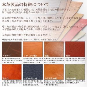 プルームテック ケース プッチーニ イタリアン...の詳細画像3