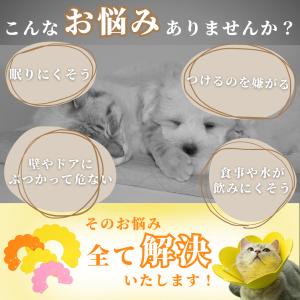 爆買 エリザベスカラー 犬 猫 術後服 メス ...の詳細画像1