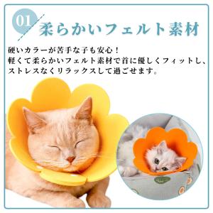 爆買 エリザベスカラー 犬 猫 術後服 メス ...の詳細画像3