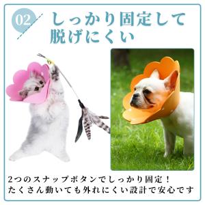 爆買 エリザベスカラー 犬 猫 術後服 メス ...の詳細画像4