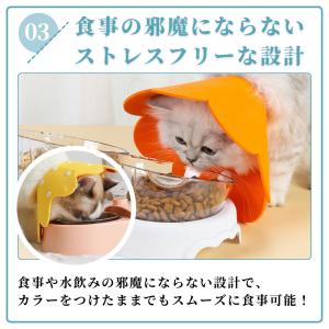 爆買 エリザベスカラー 犬 猫 術後服 メス ...の詳細画像5