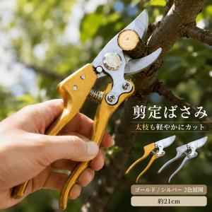 爆買 アウトレット 剪定ばさみ 剪定バサミ 剪定...の商品画像
