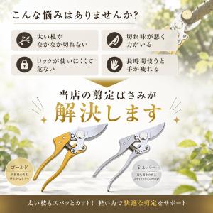 爆買 アウトレット 剪定ばさみ 剪定バサミ 剪...の詳細画像1