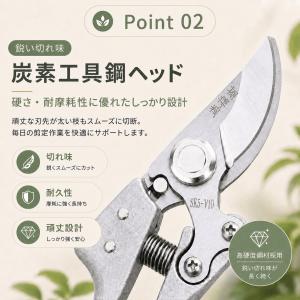 爆買 アウトレット 剪定ばさみ 剪定バサミ 剪...の詳細画像3