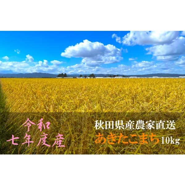2025年産　新米　白米　分づき　10kg　秋田県産　あきたこまち　低農薬　農家直送　2025年度産...