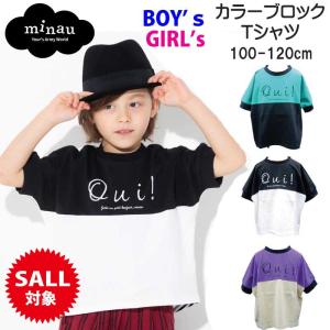 キッズ Ｔシャツ 男の子 カラーバック Ｔシャツ グリーン 黒 パープル 100/110/120/130/140cm minau ミナウ キッズ トップ おしゃれ かっこいい｜shop-nico2