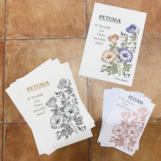 アンチエイジングアート 大人の塗り絵 ペチュニア【塗り絵のみ単品】 パピルスオリジナル 送料無料