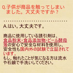 ダニ捕りロボ ソフトケース&誘引マット...の詳細画像1