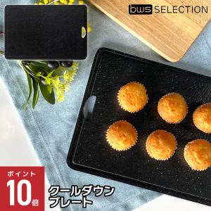 藤田金属 解凍 プレート 日本製 アルミ製スイト 解凍エコちゃん 958507