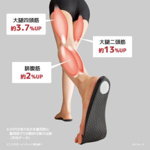ダイエットインソール 勝野式 楽歩人 ソールP...の詳細画像2