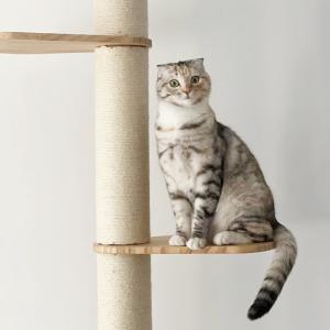ねこぞく ブーレ 突っ張り棒タイプ キャットタ...の詳細画像1