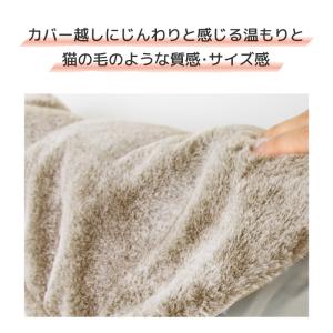 スリーアップ 蓄熱式 エコ湯たんぽ ぬくぬく ...の詳細画像4