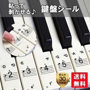 音符シール ドレミ ピアノ 電子ピアノ 鍵盤 レッスン