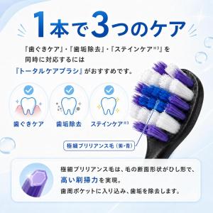 パナソニック ドルツ 替えブラシ EW0810...の詳細画像2