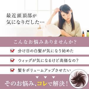部分ウィッグ カツラ トップピース 女性 つむ...の詳細画像2