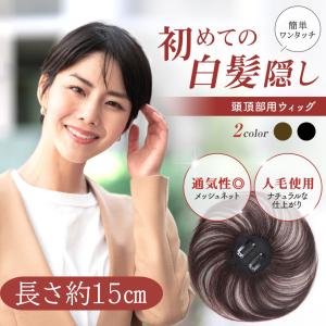 部分ウィッグ カツラ トップピース 女性 つむ...の詳細画像1