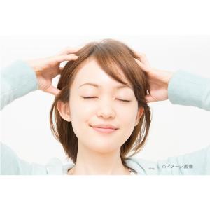 ゾーガンキンスカルプ EMS ヘッドスパ 頭皮...の詳細画像2