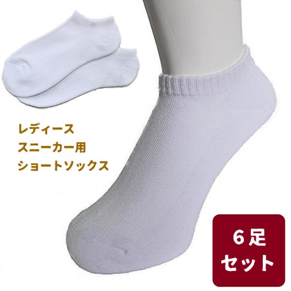 【6足セット】靴下専科 レディース 靴下 ソックス スニーカー用 底パイル くるぶし ショート丈 綿...