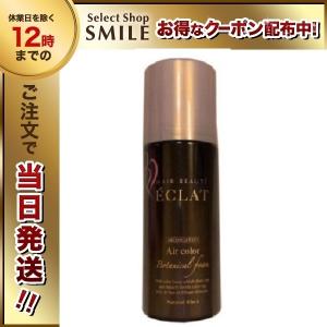 ヘアボーテ エクラ ボタニカル エアカラーフォーム ダークブラウン 80g 白髪染め