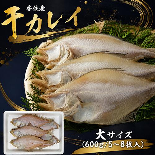 香住産 干カレイ 大 5〜8枚 約600g かれい カレイ 鰈 干物 ひもの 海鮮 お取り寄せ ギフ...